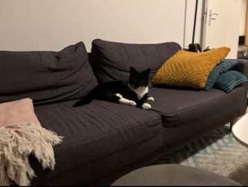 2,5 Seat Sofa