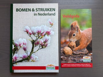 Bomen & struiken in Nederland #2 incl. veldgids.
