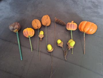 Kunststof Fruit Stekers