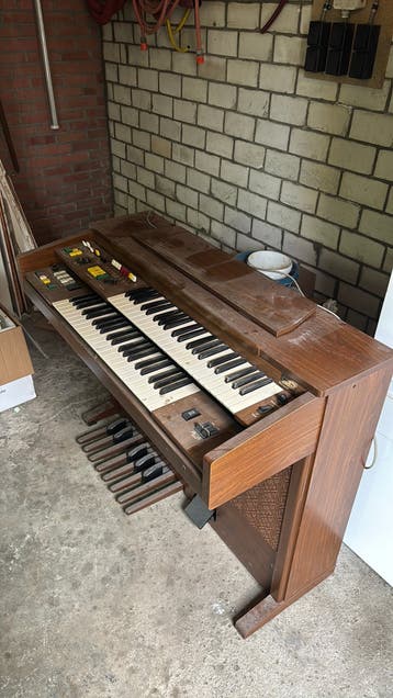 Orgel