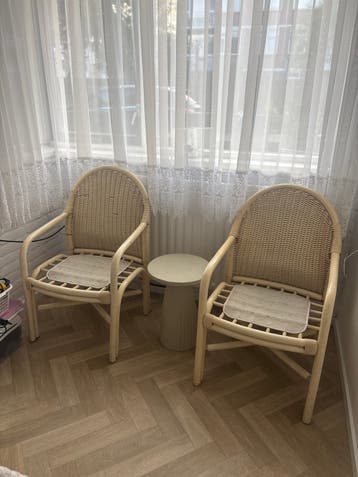 Set van 2 rotan stoelen met armleuningen