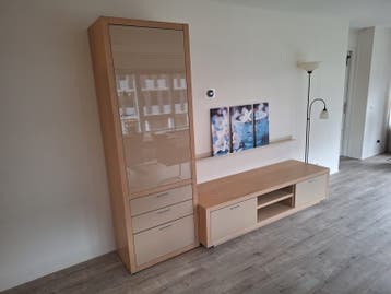 Gratis ophalen! kasten woonkamer