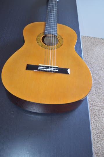 Akoestisch Gitaar