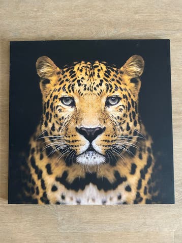 Canvas afbeelding panter 50x50cm