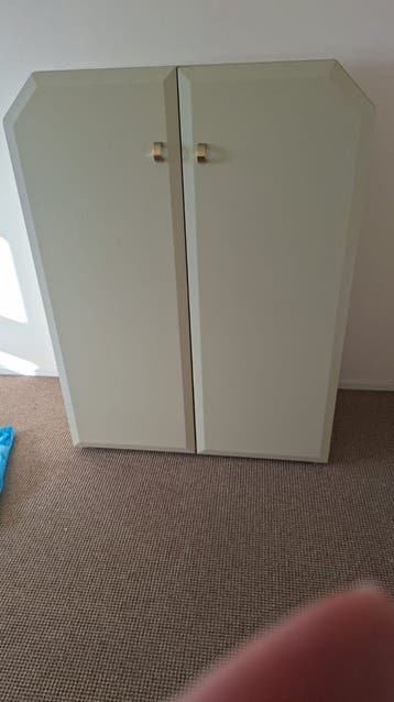 gratis kast degelijke kwaliteit 90 40 120 hoog met planken