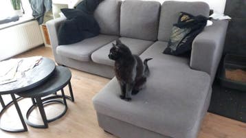 Comfortabele grijze hoekbank met chaise longue