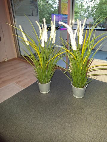 Set van 2 Kunstplanten met Witte Bloemen in Pot