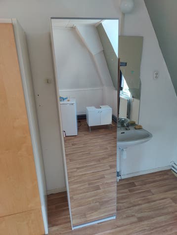 Spiegelkast - b60xd50xh205cm - Met Hangruimte