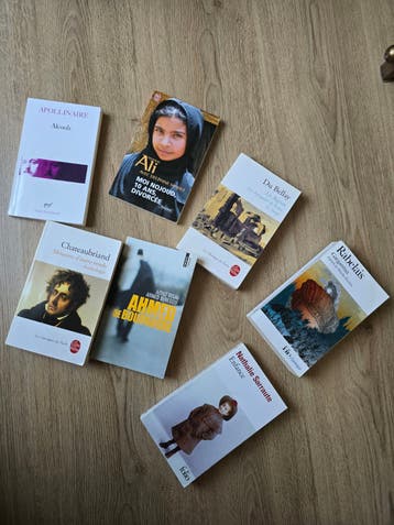 GRATIS: Pakket Franse boeken / Literatuur (o.a. Folio, Livre