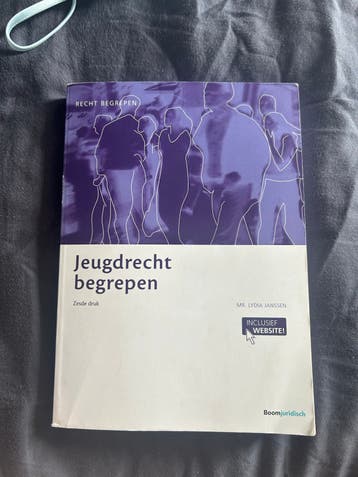 Jeugdrecht begrepen - Zesde druk