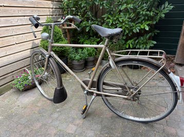 Antieke oude gazelle zoekt nieuwe eigenaar
