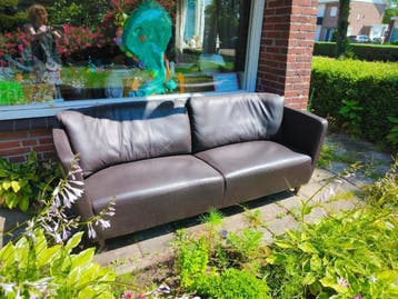 Sofa leather material