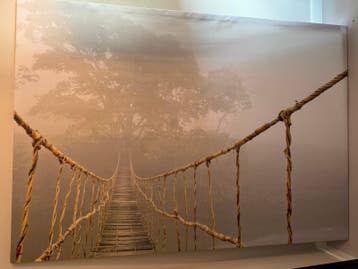 IKEA Schilderij - Hangbrug in mistig bos (gratis)