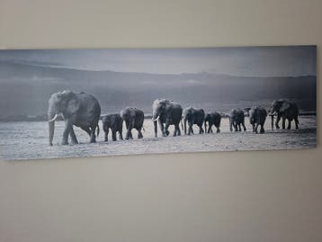 Schilderij met olifanten familie
155 x 52