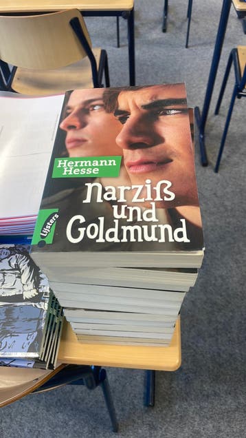 Klassenset Narziss und Goldmund