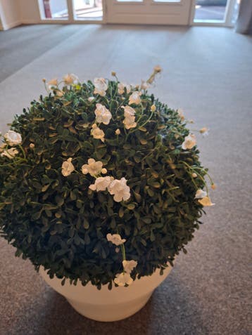 GRATIS Kunstplant met losse bloemetjes