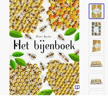 Het bijenboek van Piotr Socha