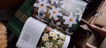 Complete serie het Groene Boek Lekturama 31 stuks