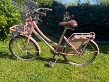 Fiets popal 22 inch roze