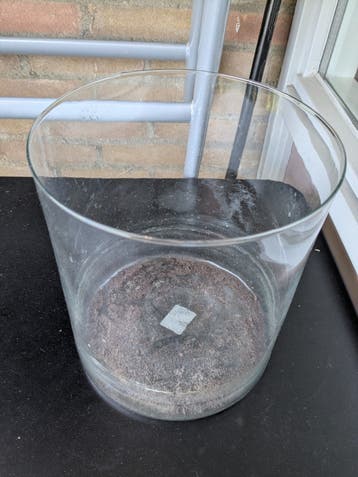 Gratis! Grote glazen vaas van dun glas