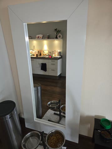 Grote witte spiegel met strak design