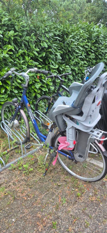 Gratis Giant Twist E-bike met accessoires en kinderzitjes