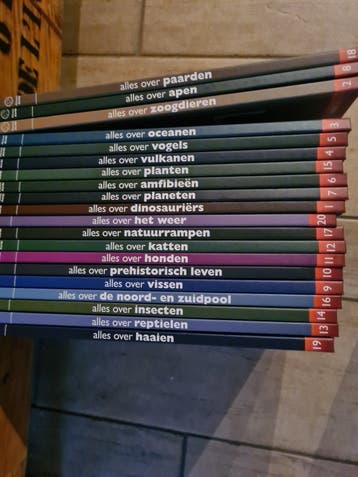 De Complete Gids Runen: Ontdek de Oude Wijsheid
