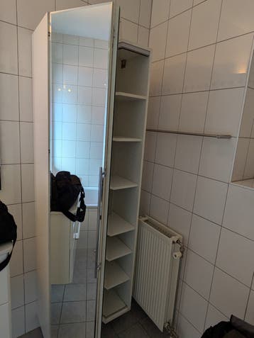 Gratis: spiegelkast (hangend)