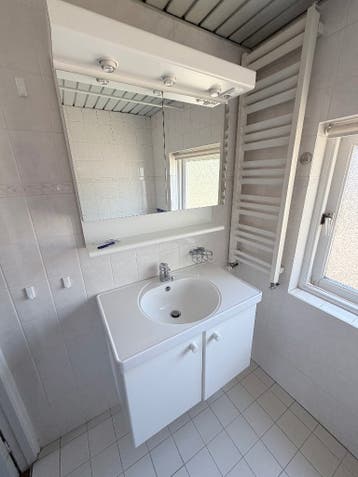 Wastafel meubel en spiegelkast Gratis