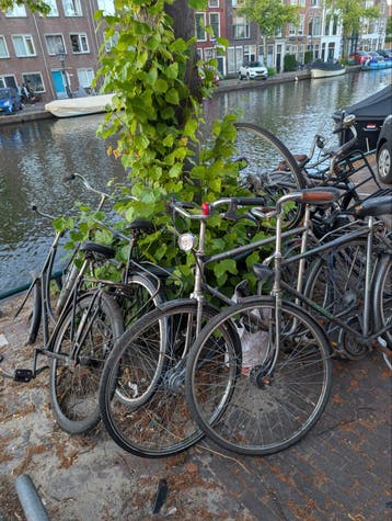 GRATIS fietsen 9 stuks, ophalen zonder afspraak