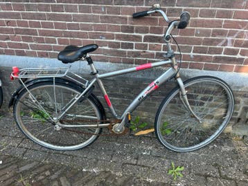 Batavus twister