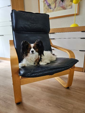 Gratis op te halen: Ikea Poang stoel met leren bekleding