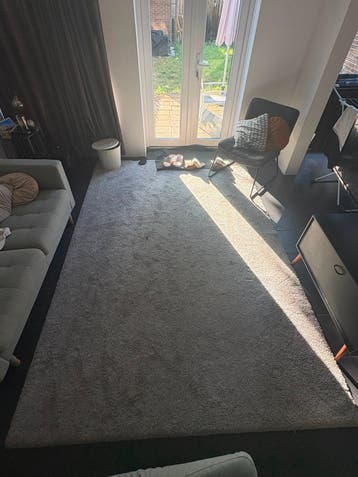 GRATIS grijs vloerkleed 300x200 cm