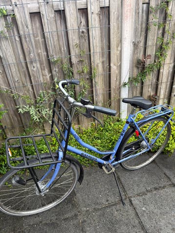 Batavus Retro Oversized | Damesfiets | Schade