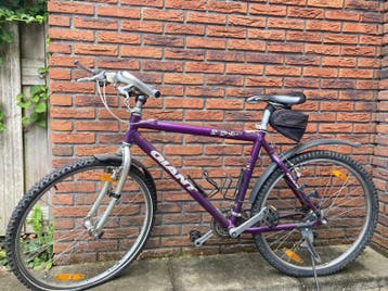 Mountainbike Giant