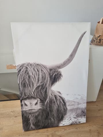 GRATIS canvas hooglander