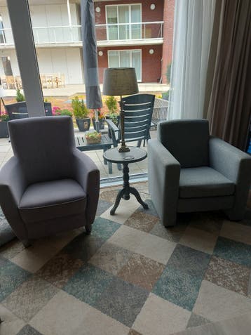 Comfortabele fauteuils (2 stuks) - Grijs