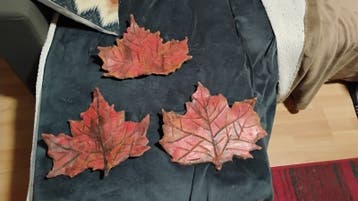 Decoratieve Bladeren Set - Herfstkleuren