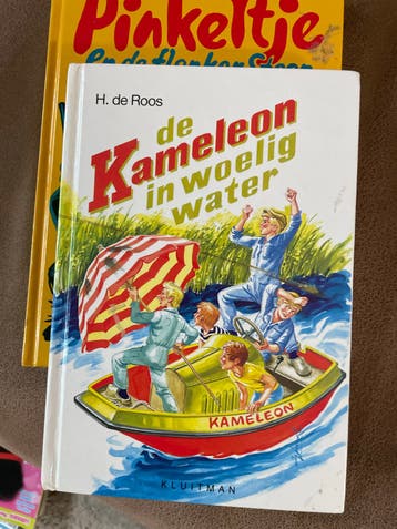 De Kameleon in woelig water - H. de Roos