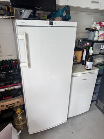 Liebherr vriezer zie beschrijving MOET VANDAAG WEG