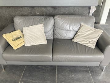 Comfortabele grijze tweezitsbank van leer