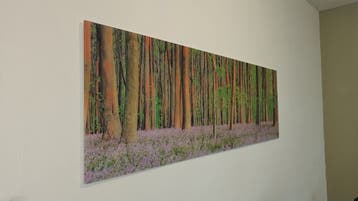 Glazen Wanddecoratie: Woud