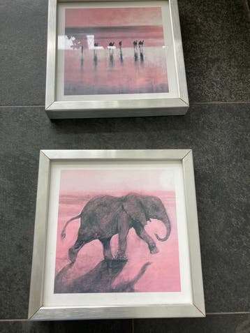 Set van 2 IKEA RIBBA fotolijsten met dierenprints