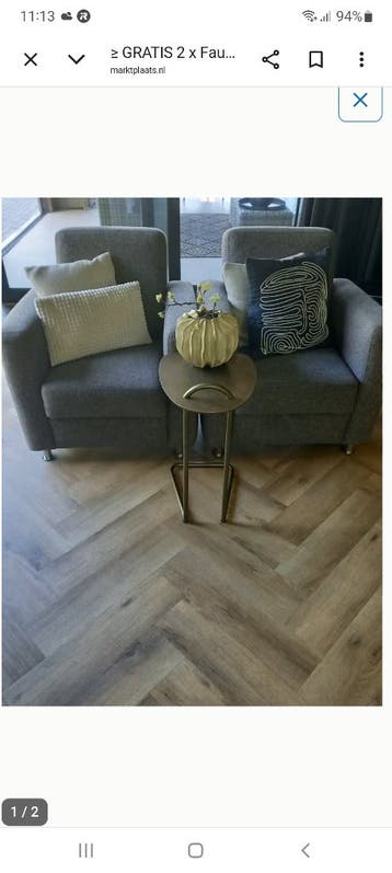 GRATIS 2X FAUTEUIL STOEL