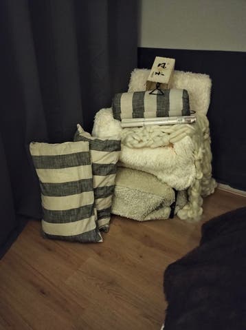 Gratis kussens xlampjex plakfolie*Rosetta*