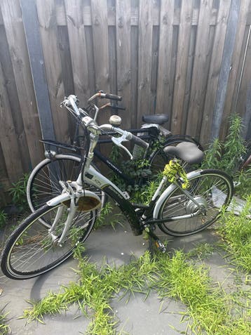 3 fietsen gratis af te halen (1 elektrisch met sleutel)