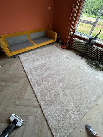 IKEA Vloerkleed 240x350 cm - Zacht en Comfortabel
