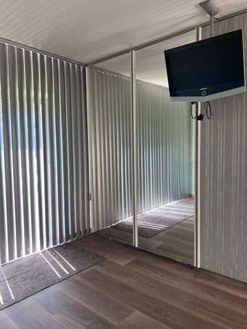 Grote spiegelwand met 3 spiegels op paneel (250x80cm)