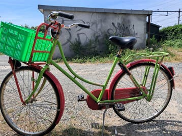 Opvallende Groen-Rode Stadsfiets met Mand