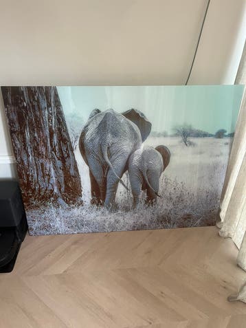 Gratis af te halen. Olifanten schilderij van glas